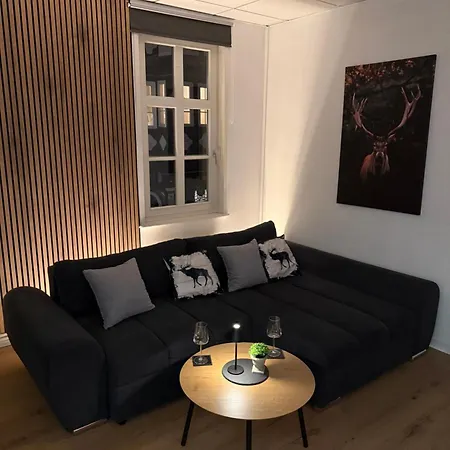 Living 3 - Modern & Zentral Apartamento Goslar